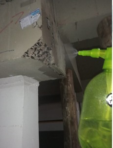 Carbonatação